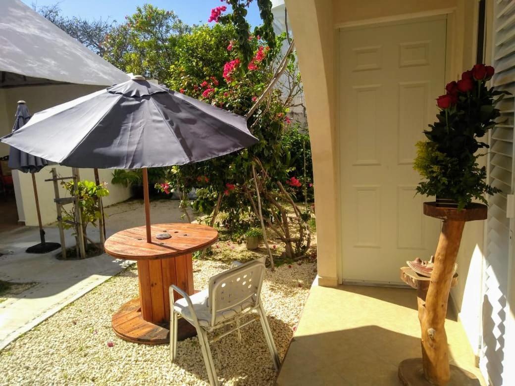 Balanca Studios Puerto Morelos Extérieur photo