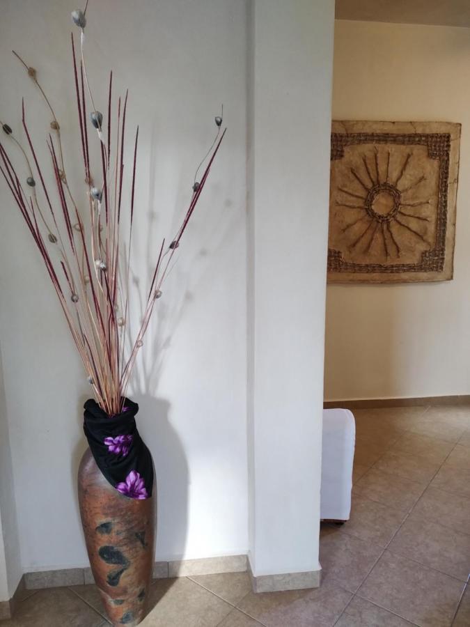 Balanca Studios Puerto Morelos Extérieur photo