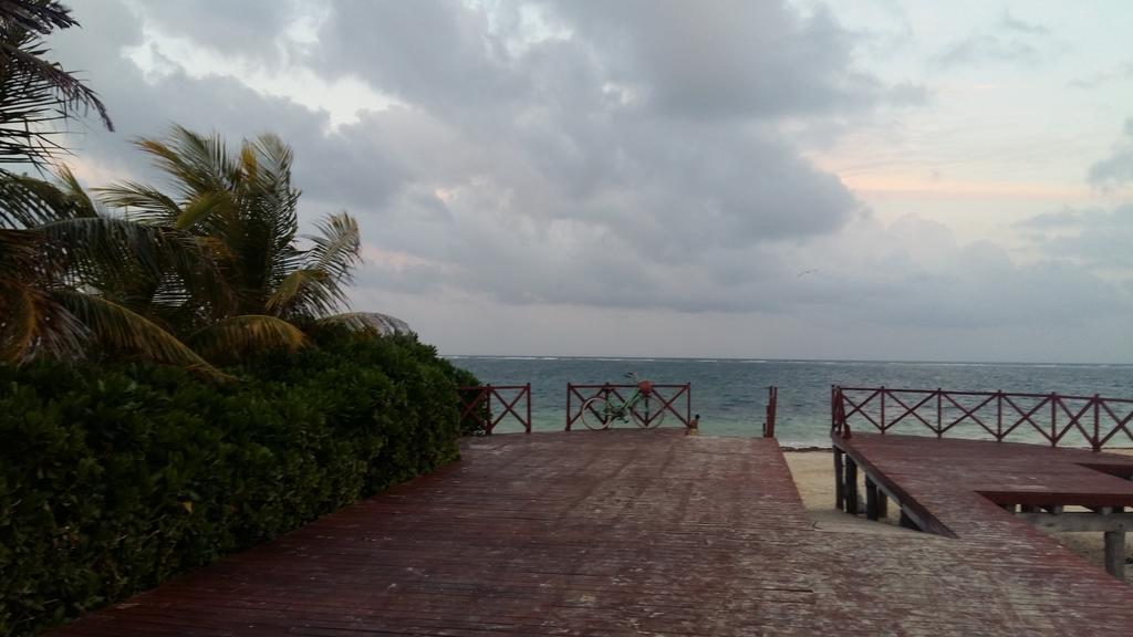 Balanca Studios Puerto Morelos Extérieur photo